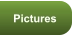 Pictures